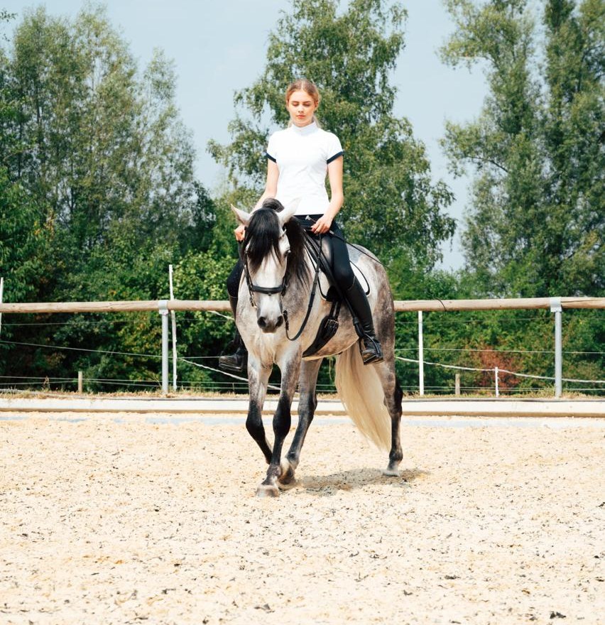 Reiterin auf einem Schimmel im Schritt auf dem Reitplatz